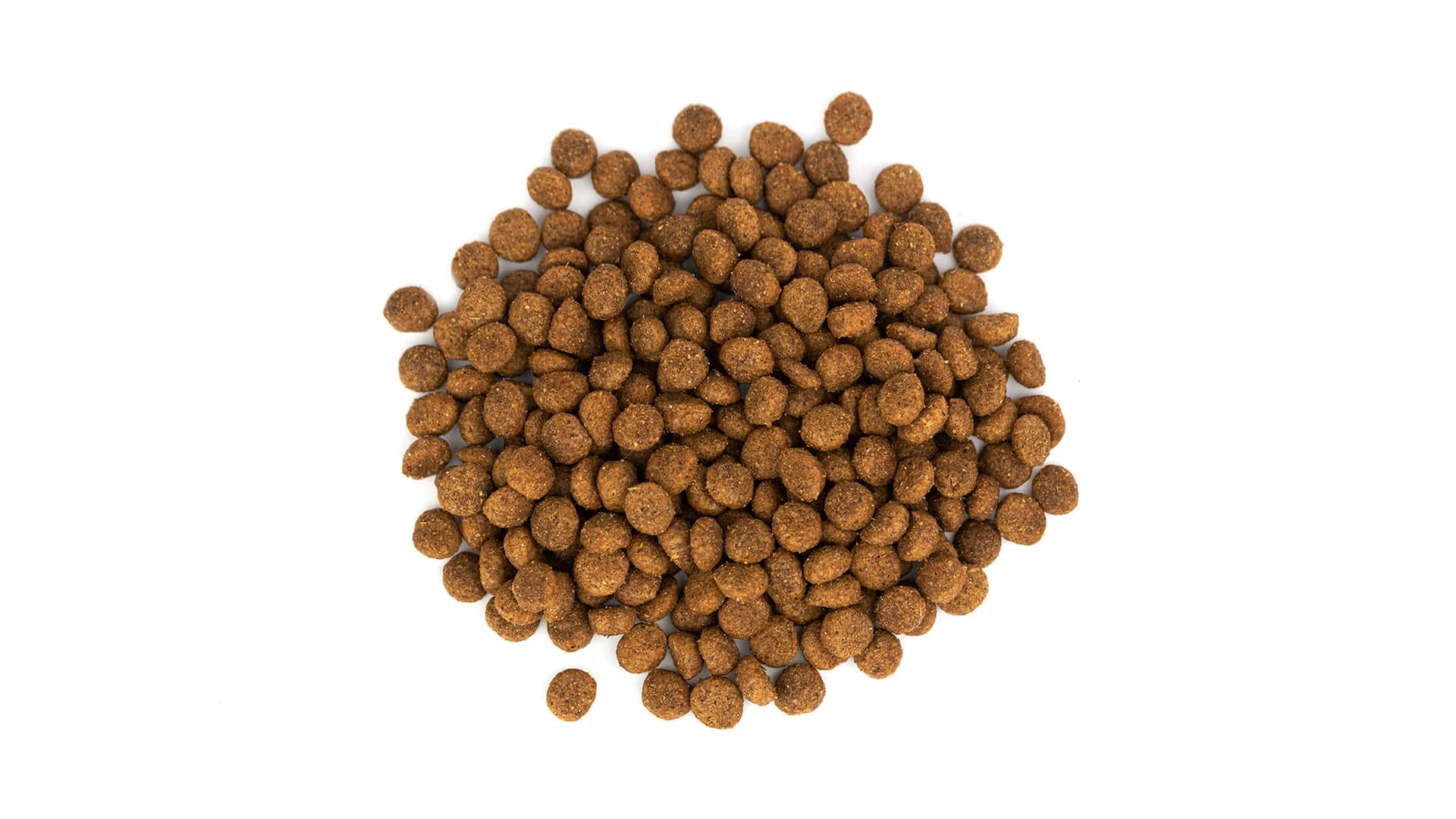 Dry dog food