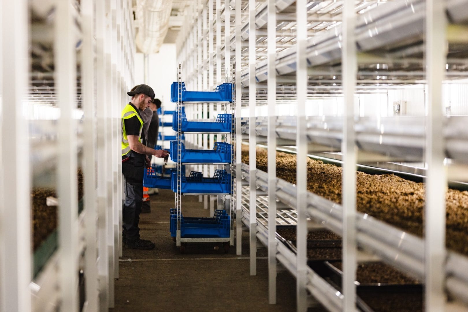 Production team at Fairman Knight & Sons