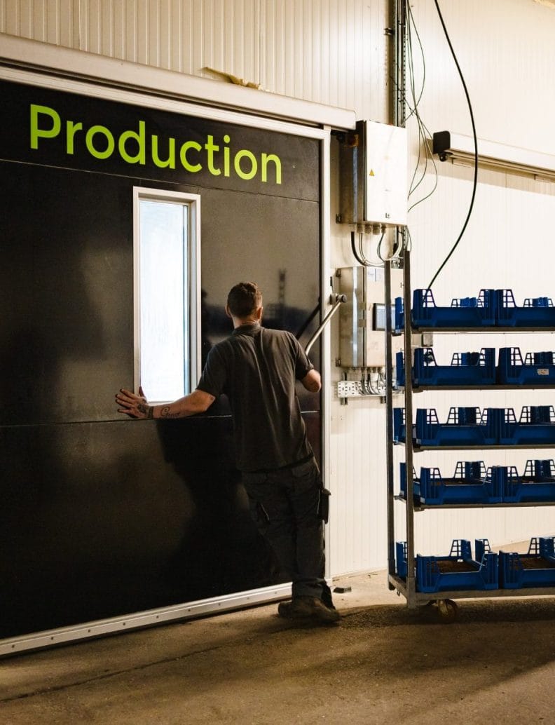 Fairman Knight & Sons production