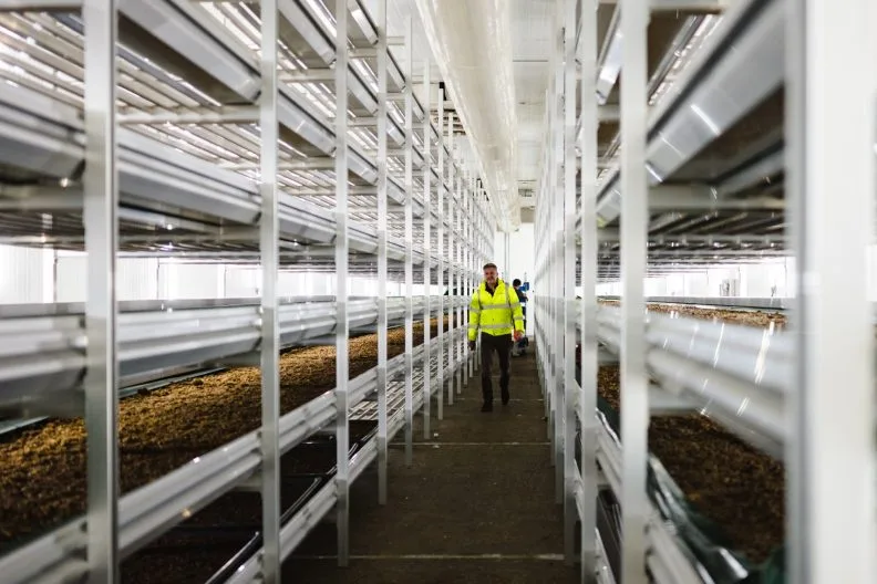 Inside production at Fairman Knight & Sons