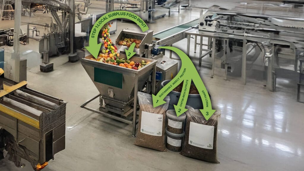 Step process at Fairman Knight and Sons